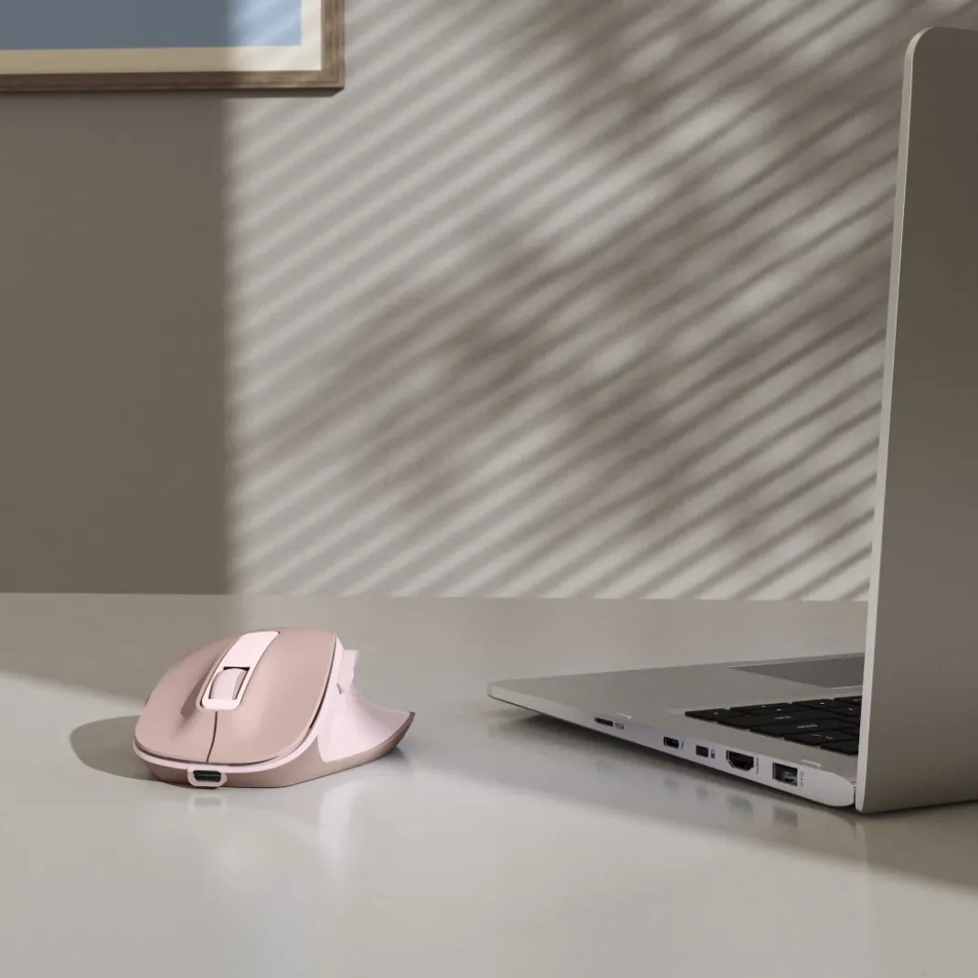 Funkmaus "WM-500", ergonomisch, 6 Tasten, ohne Klickgeräusch, Akku, Rosa