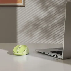 Funkmaus "WM-400", ergonomisch, optisch, 6 Tasten, ohne Klickgeräusch, Grün