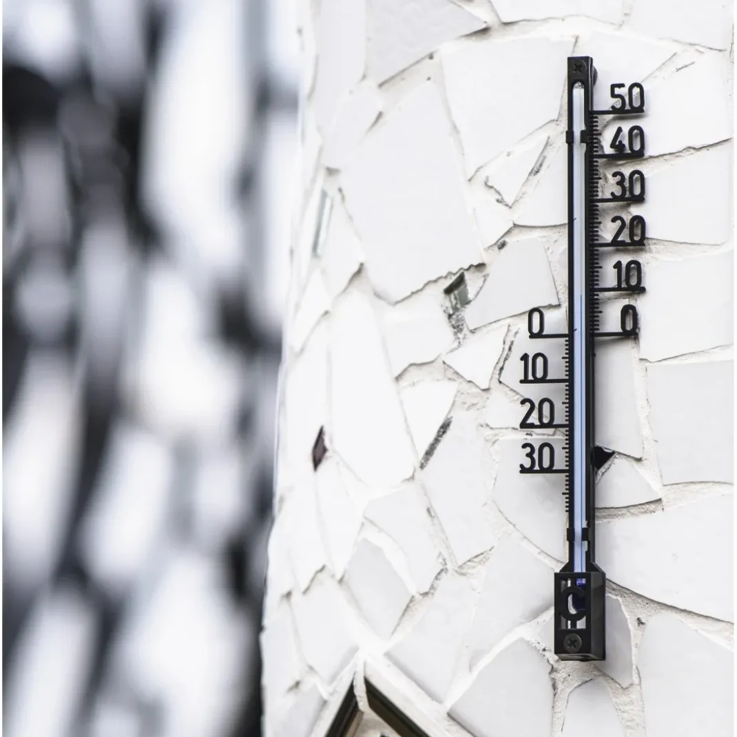 Innen-/Außenthermometer, Baumstruktur, 16 cm, analog