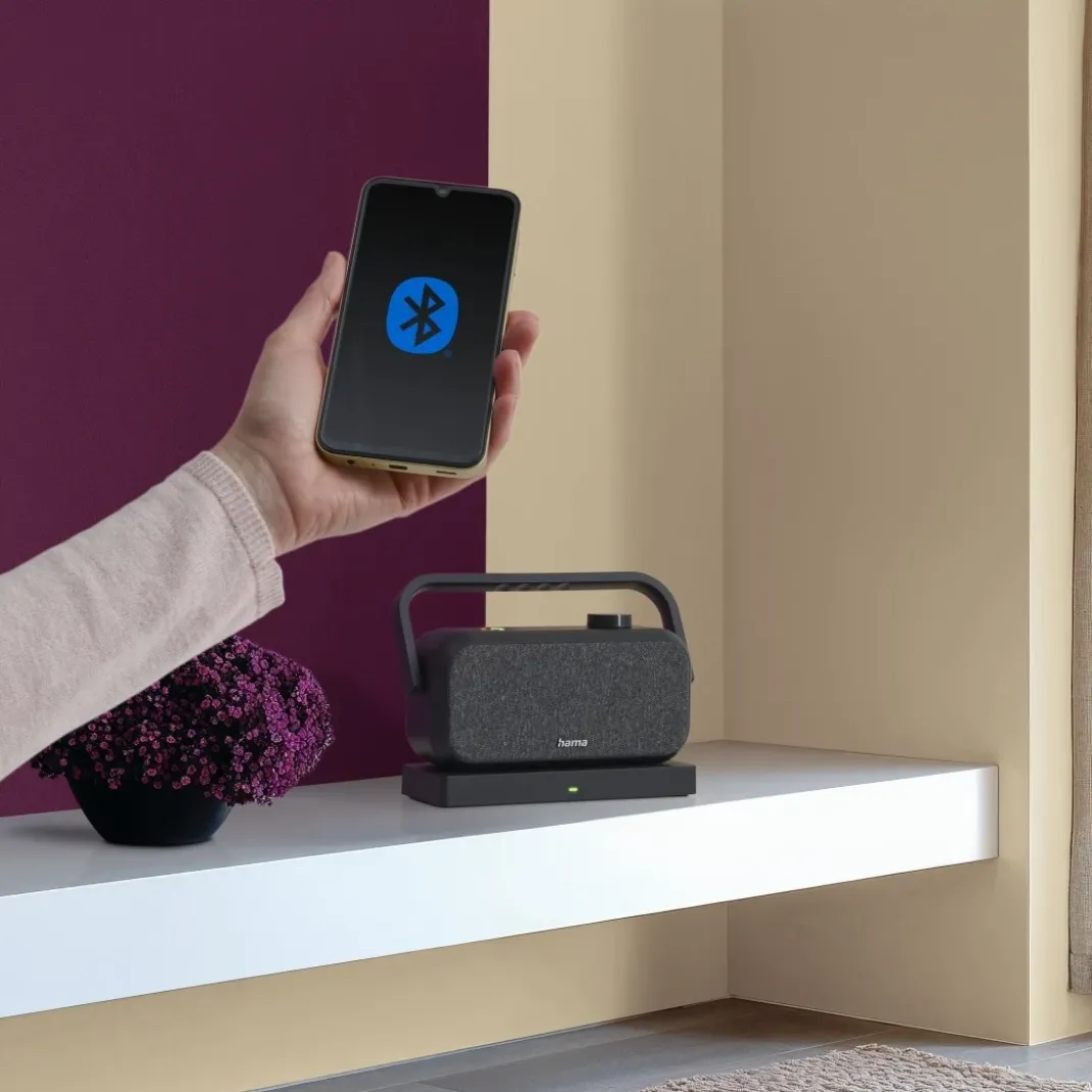 Lautsprecher für Fernseher, 2,4-GHz-Station + Bluetooth®, tragbar, stereo