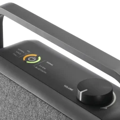 Lautsprecher für Fernseher, 2,4-GHz-Station + Bluetooth®, tragbar, stereo