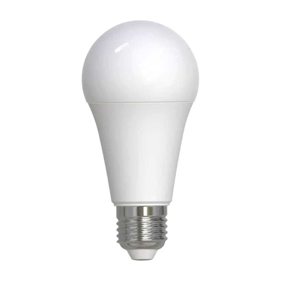 LED-Lampe, E27, 2452lm ersetzt 150W, Birne A60, matt, Warmweiß