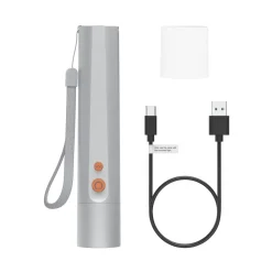 LED-Taschenlampe