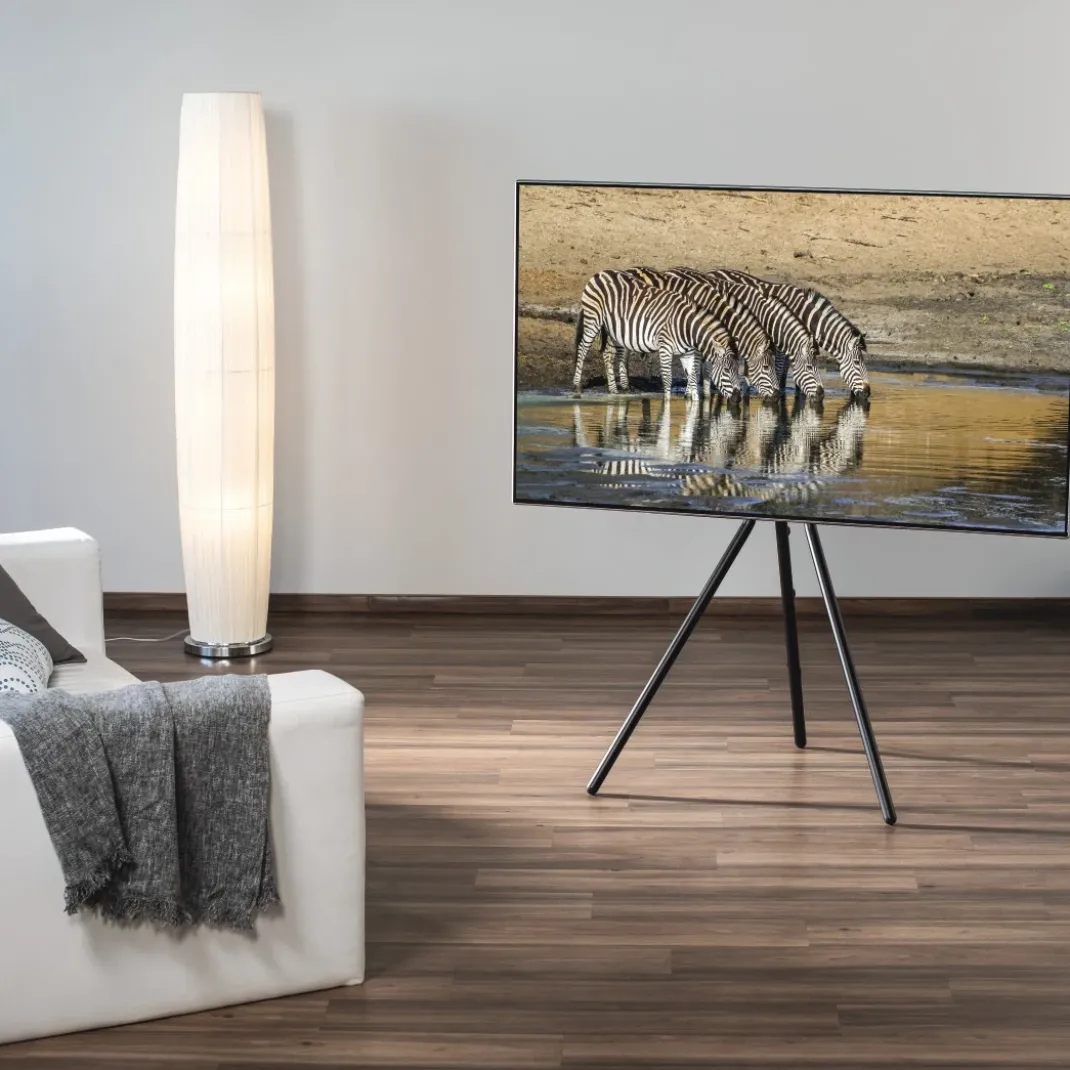 TV-Ständer, Staffelei freistehend, höhenverstellbar, 191 cm (75") bis 40 kg