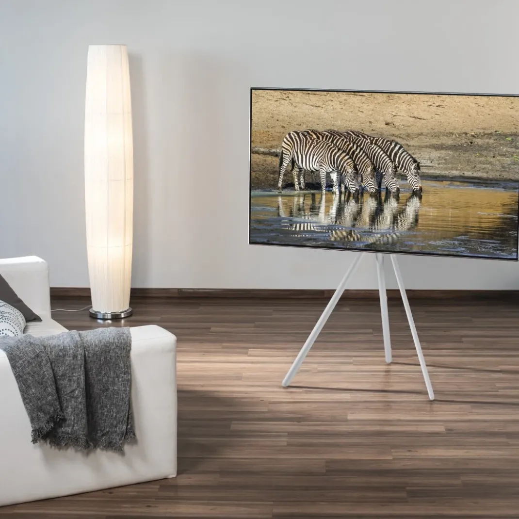TV-Ständer, Staffelei freistehend, höhenverstellbar, 191 cm (75") bis 40 kg