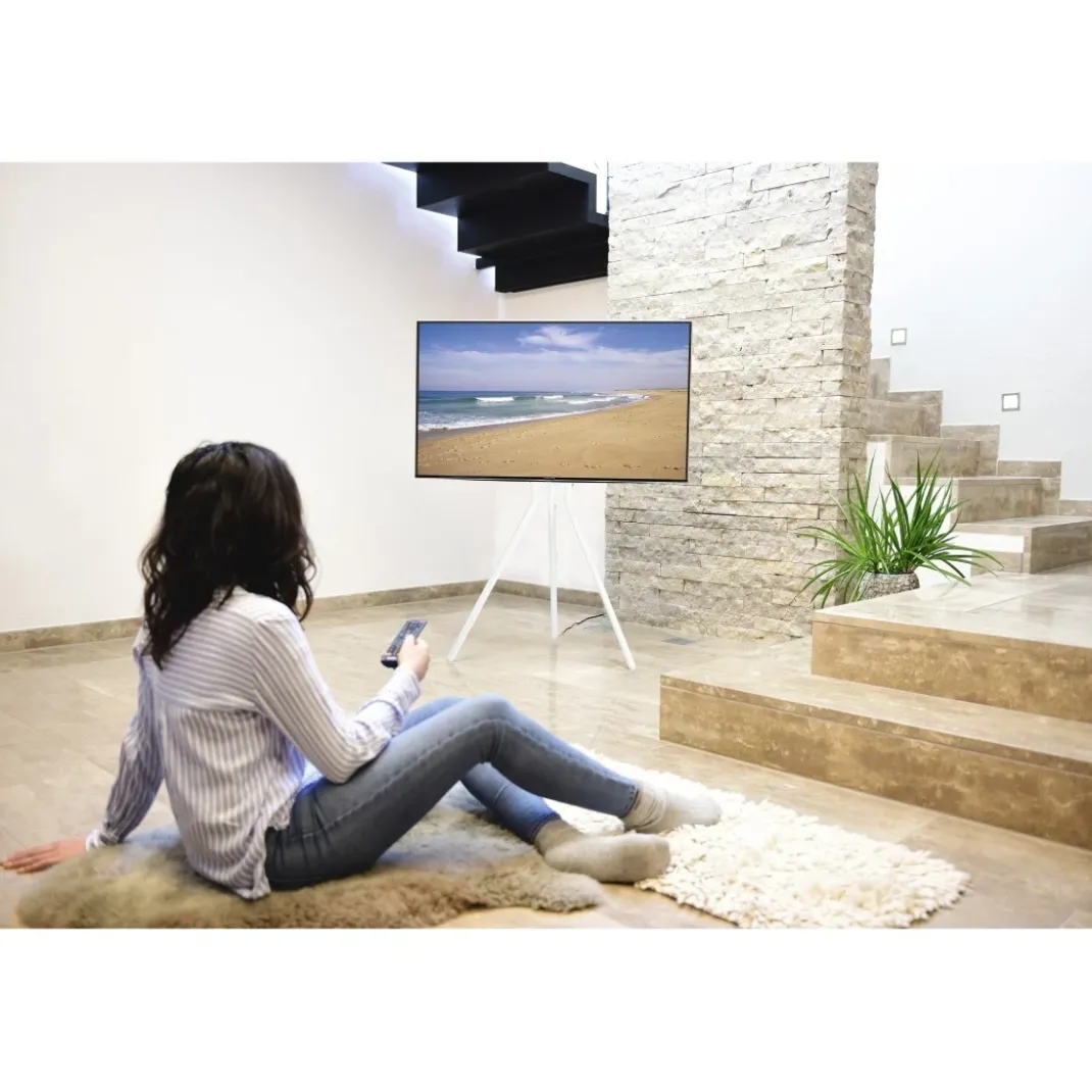 TV-Ständer, Staffelei freistehend, höhenverstellbar, 191 cm (75") bis 40 kg
